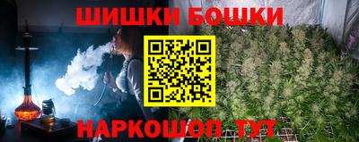2c-b Кингисепп