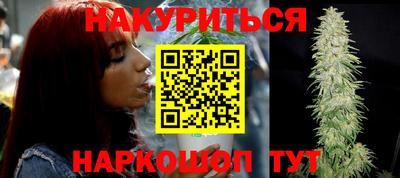 2c-b Кингисепп