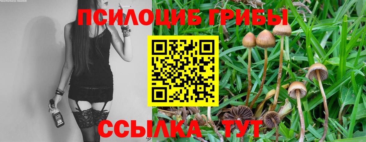 Галлюциногенные грибы Cubensis  Псилоцибиновые грибы GOLDEN TEACHER  Вход с VPN  Гурьевск 